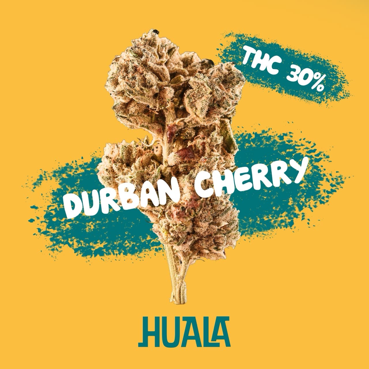 Huala 30/1 CA DBC