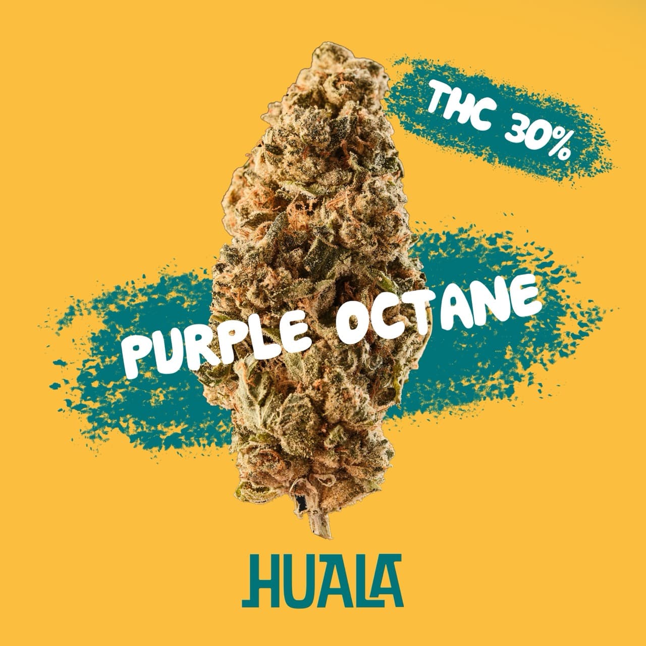 Huala 30/1 CA OCT