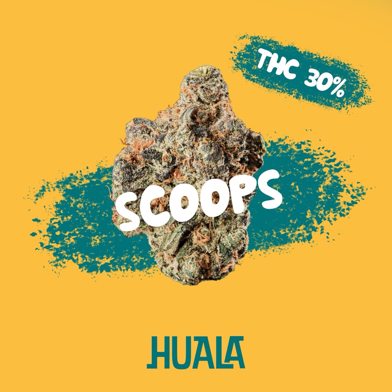 HUALA 30/1 CA SCO