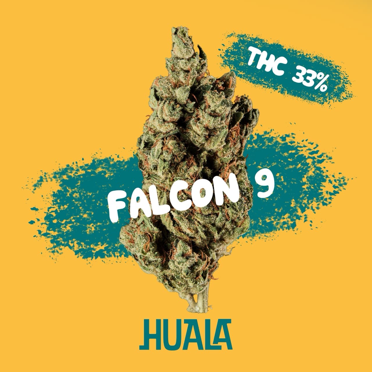 HUALA 33/1 CA FL9