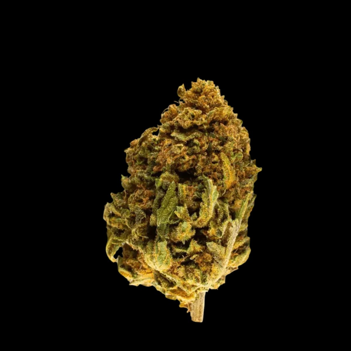 Med. Cannabis