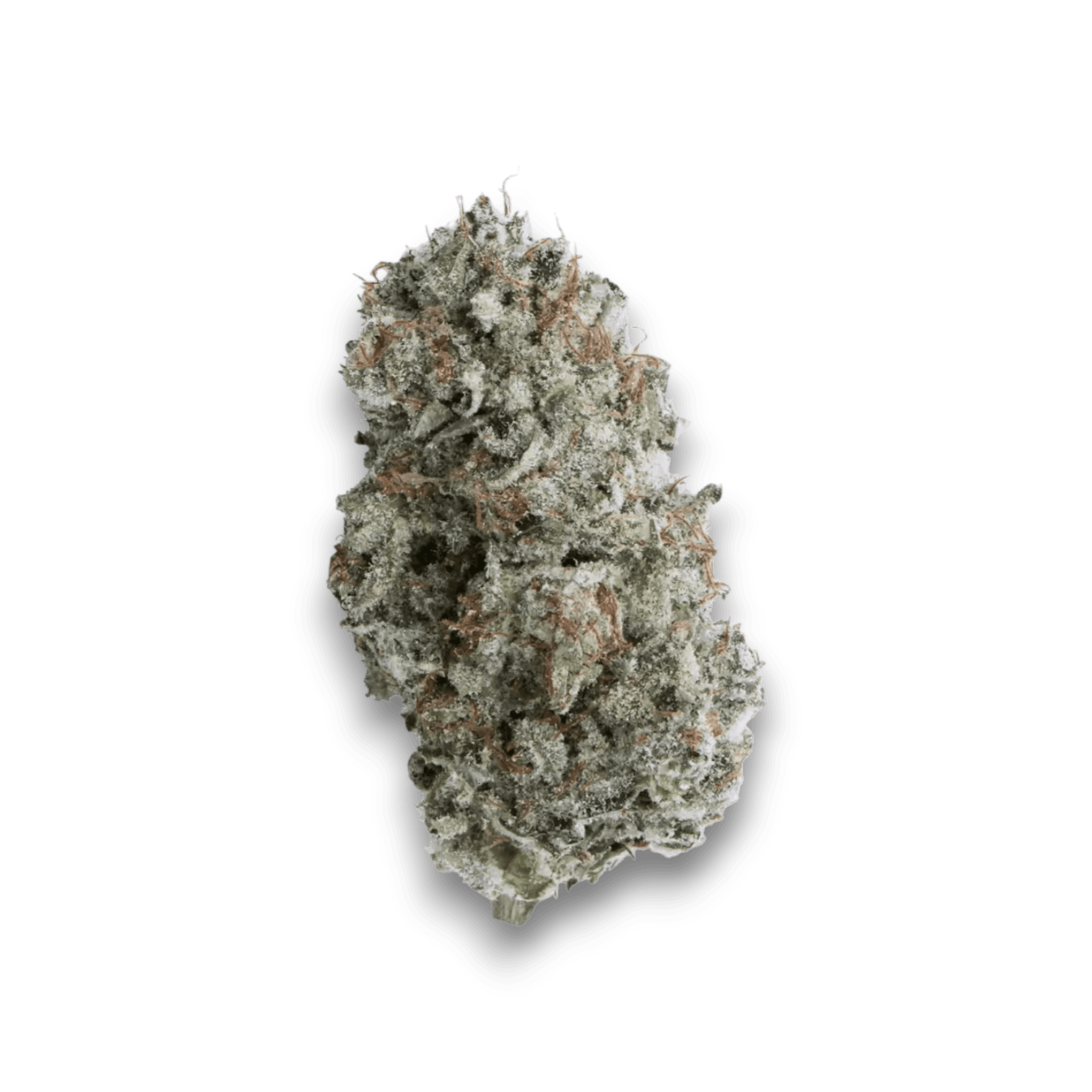 IMC AGD THC25