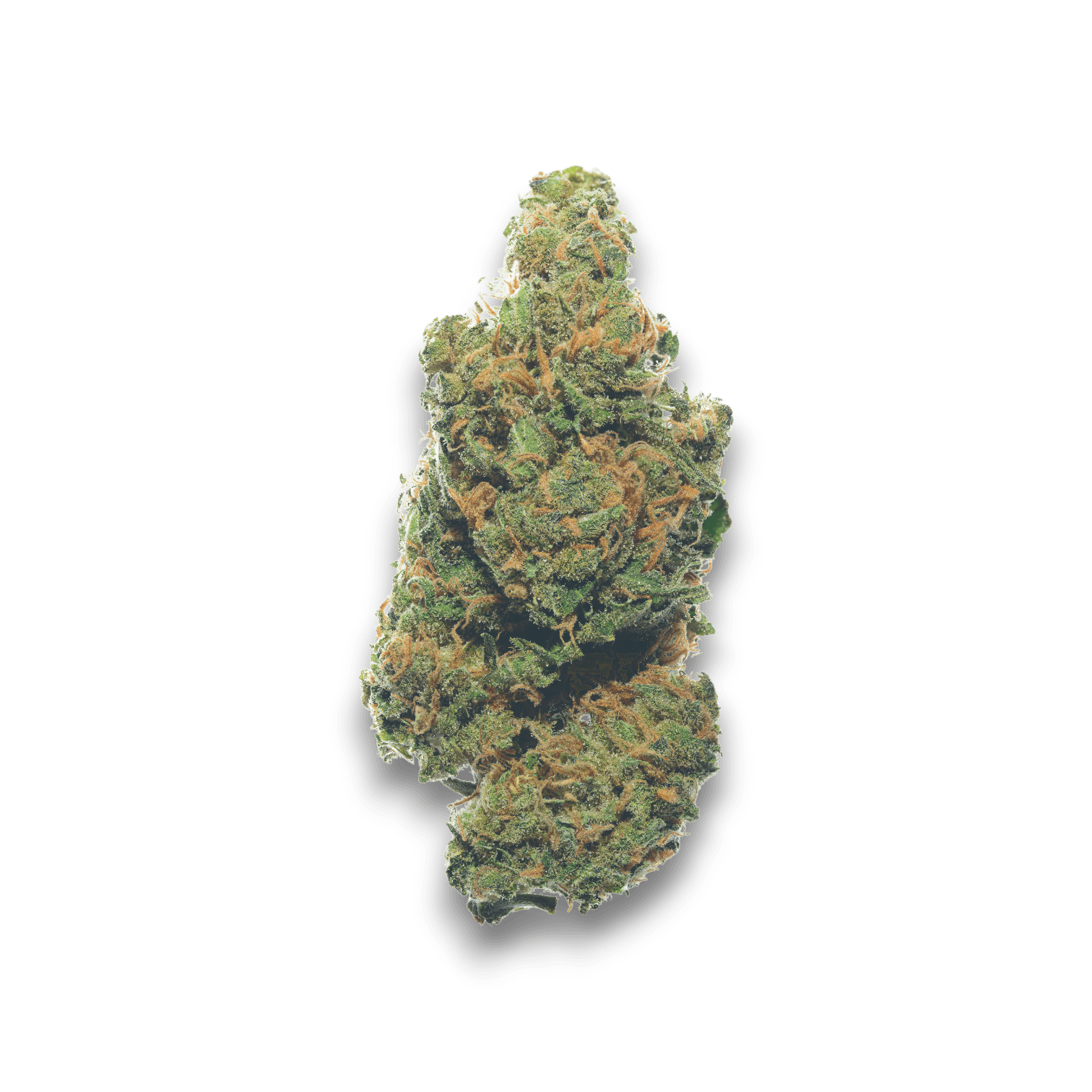 Med. Cannabis
