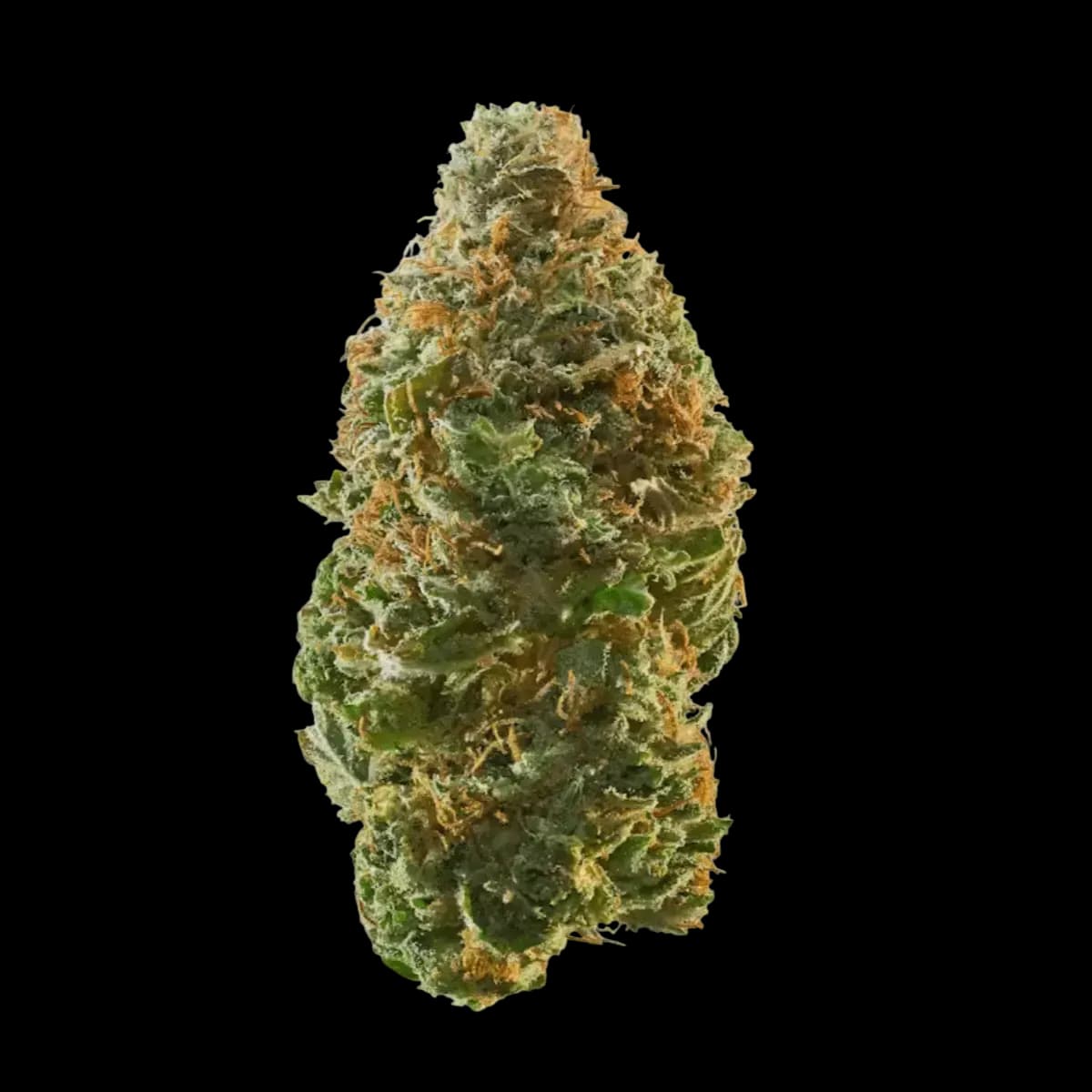Med. Cannabis