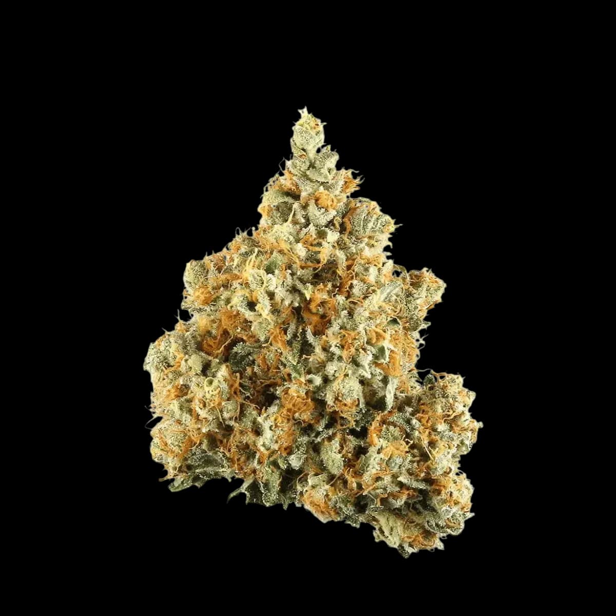 Med. Cannabis