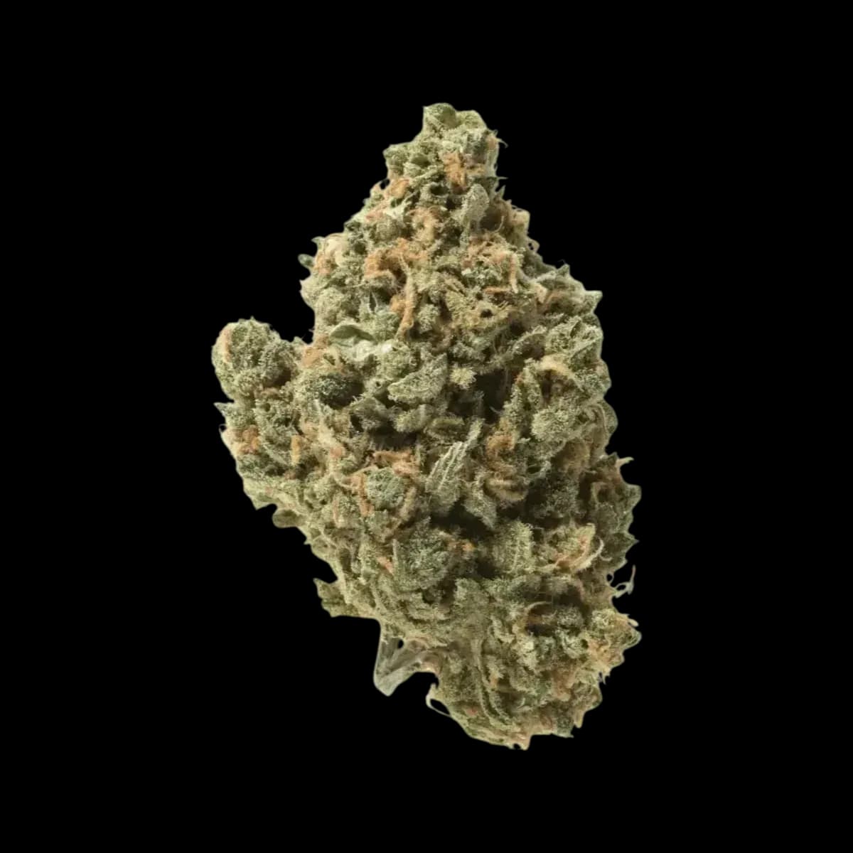IMC Gum THC26