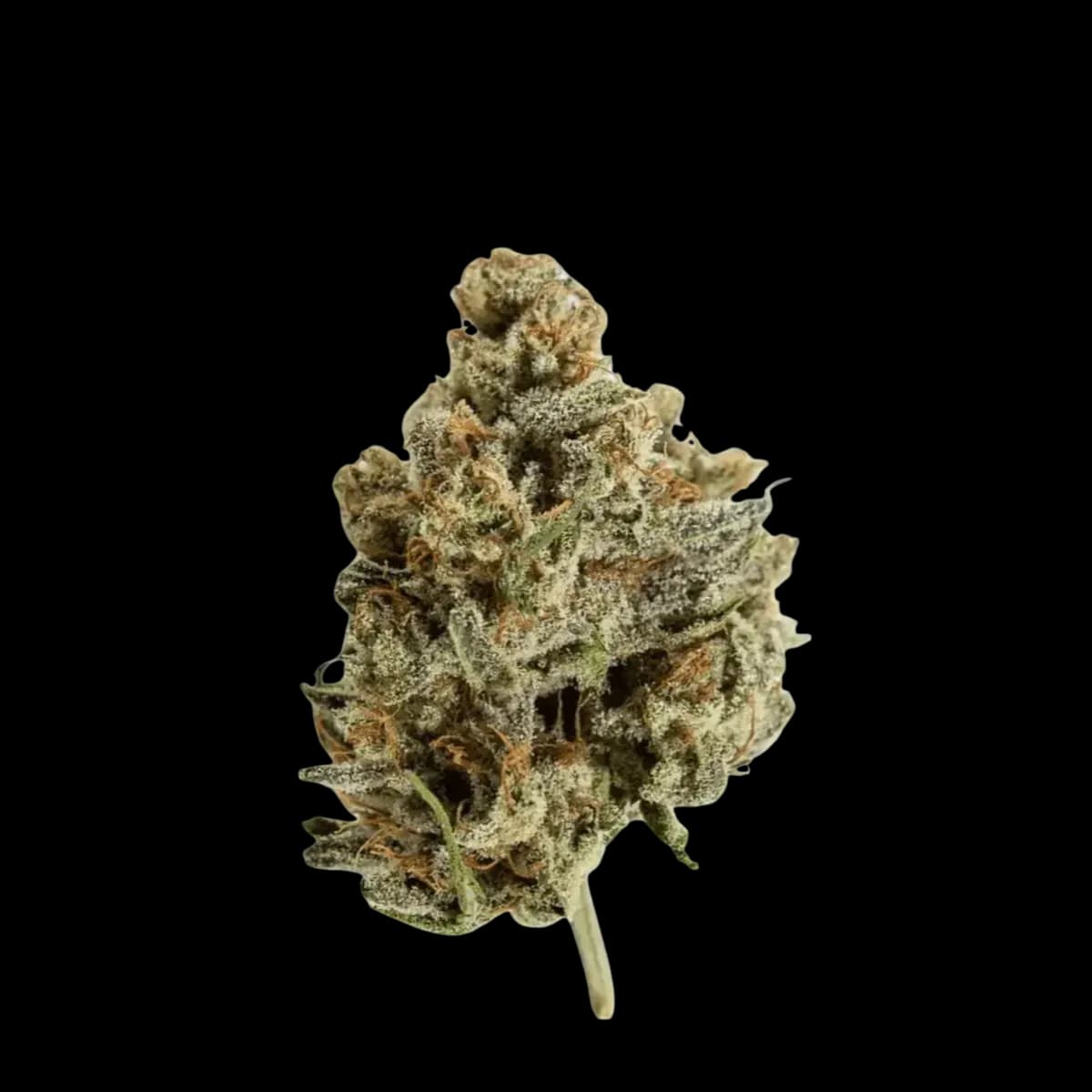 Med. Cannabis