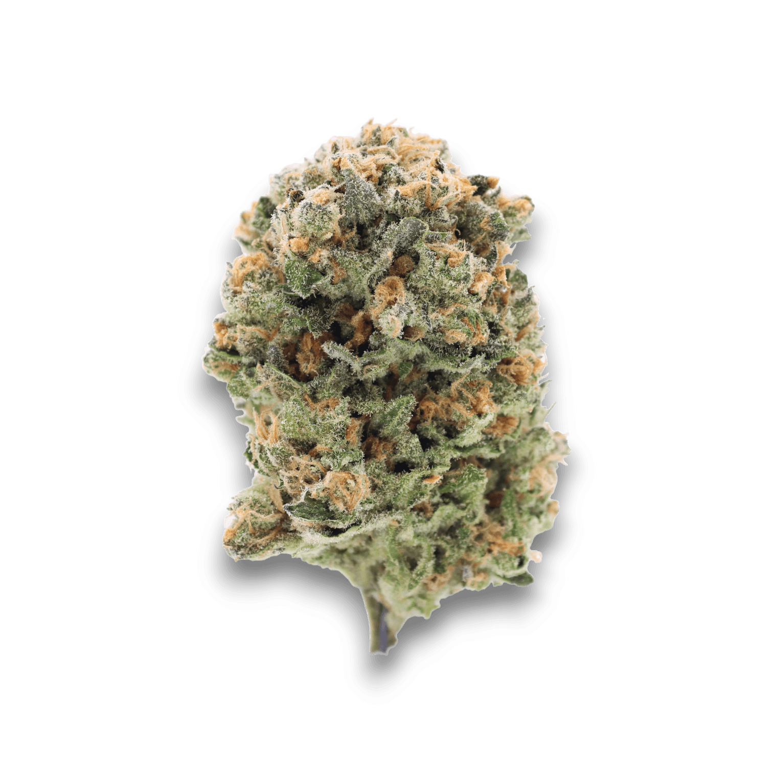 Med. Cannabis