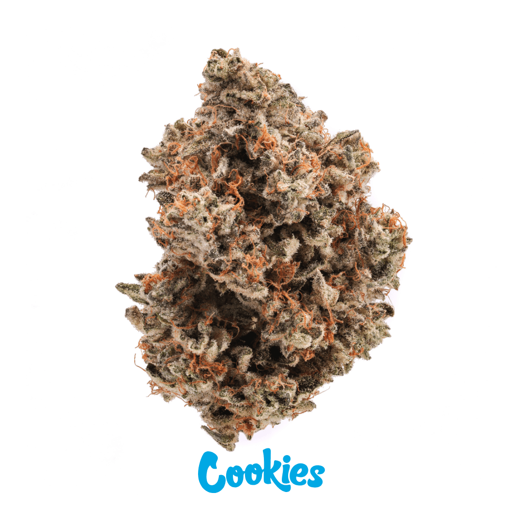 INCR Cookies ORiGiNALS GP 26/1