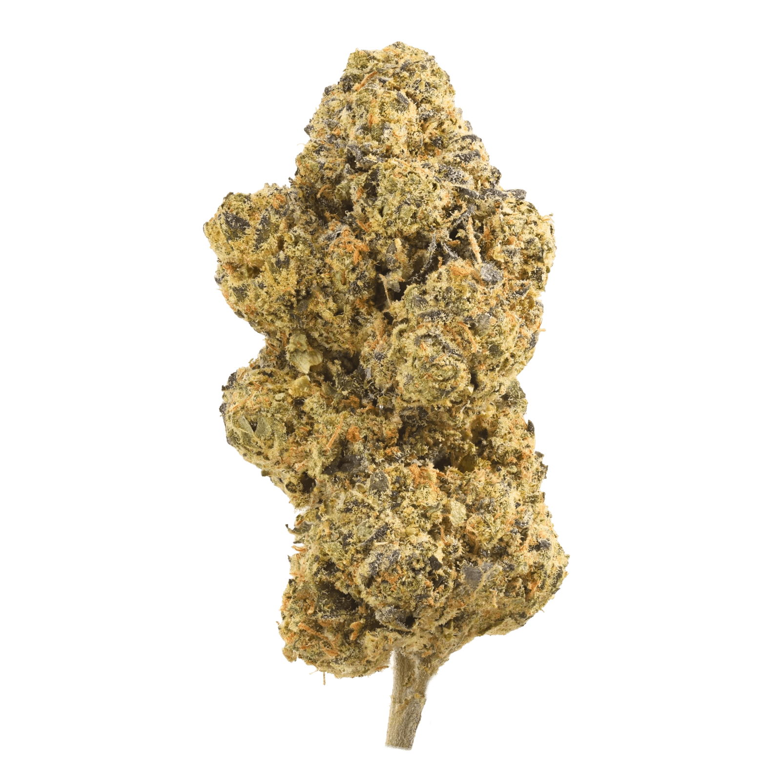 J.R. Strain PM 30/1