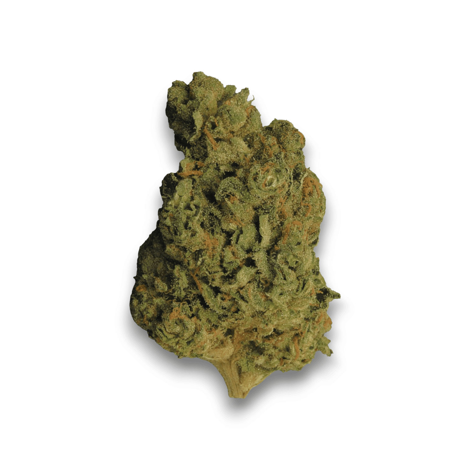Med. Cannabis