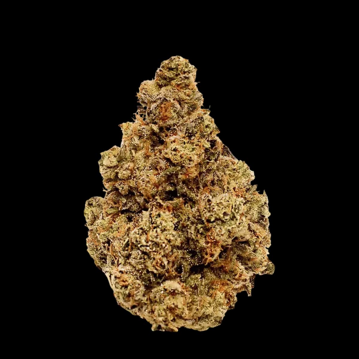 LOT 420 GLOC