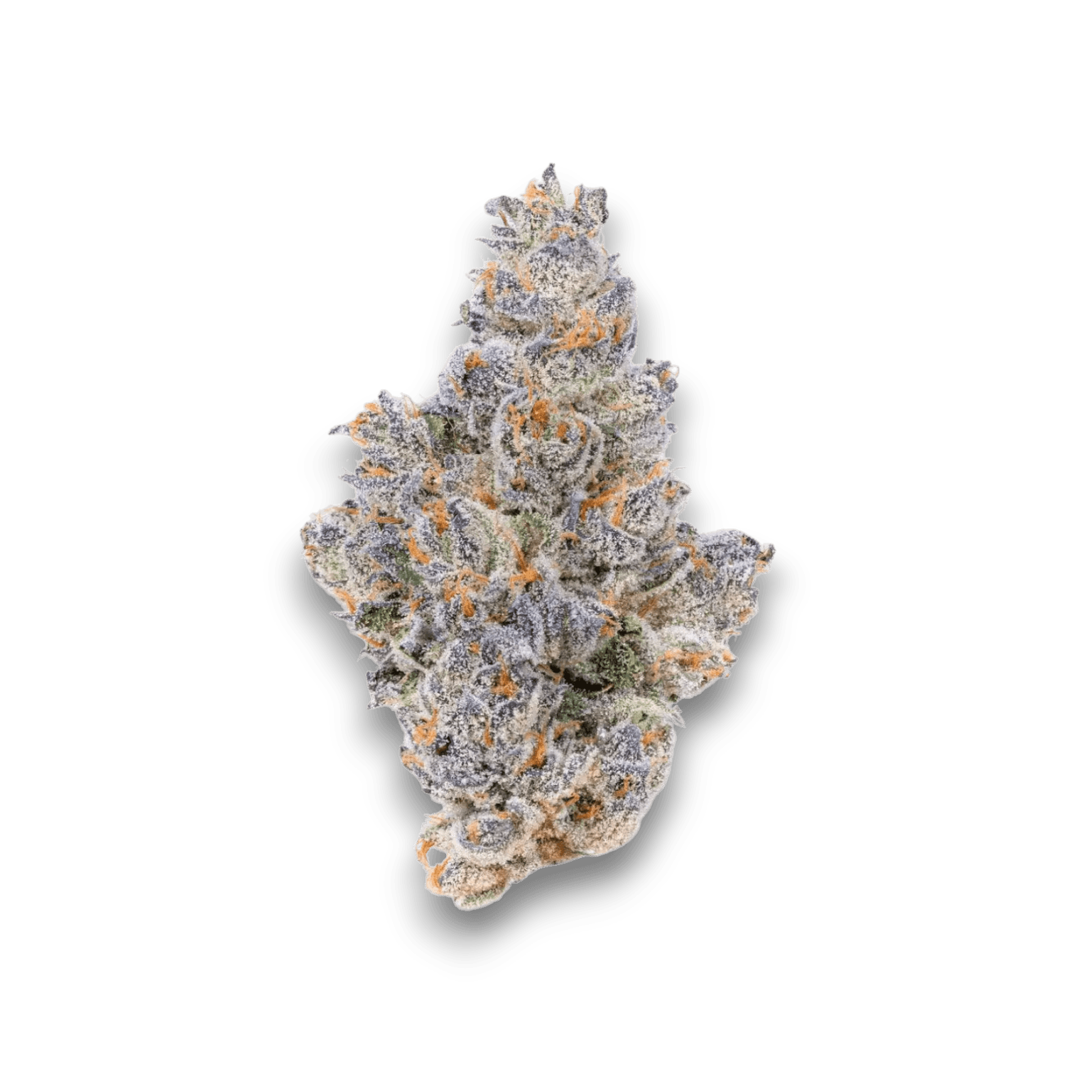 Med. Cannabis