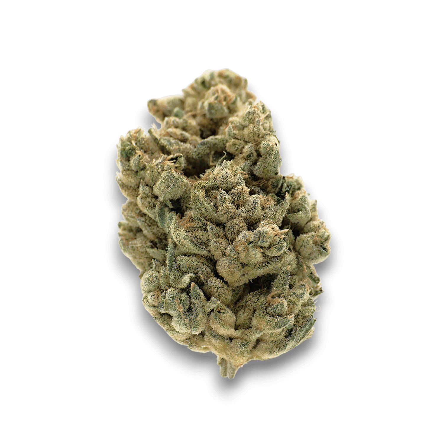 Med. Cannabis