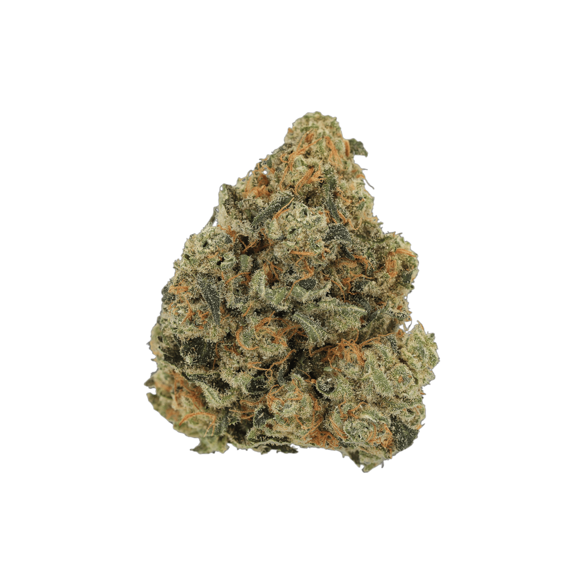 Luana 28/1 GSC