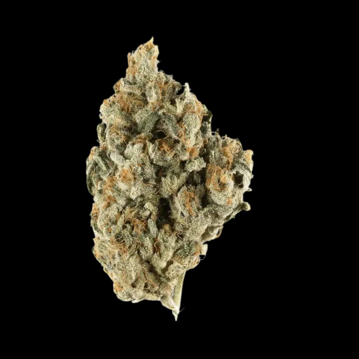 Med. Cannabis