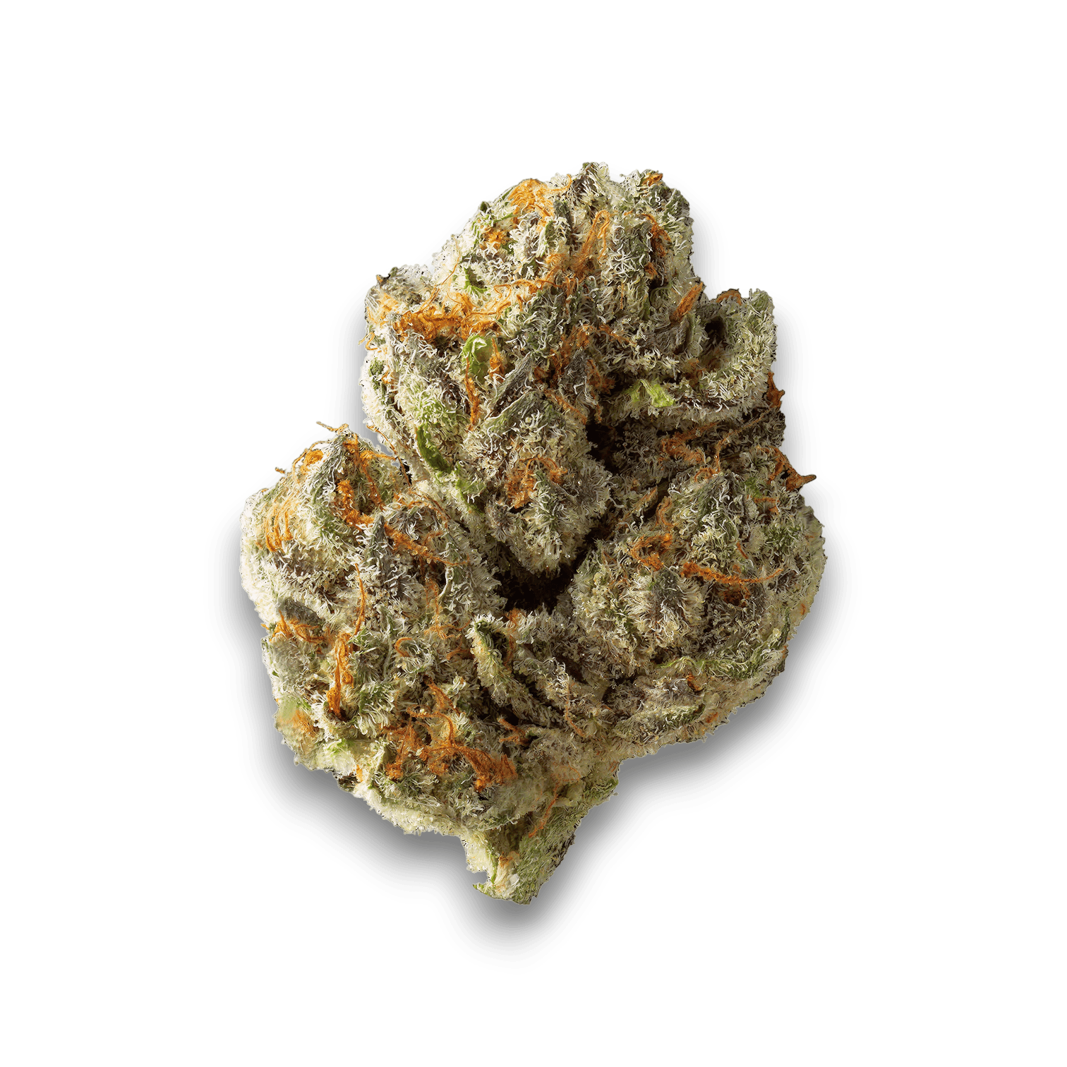 Med. Cannabis