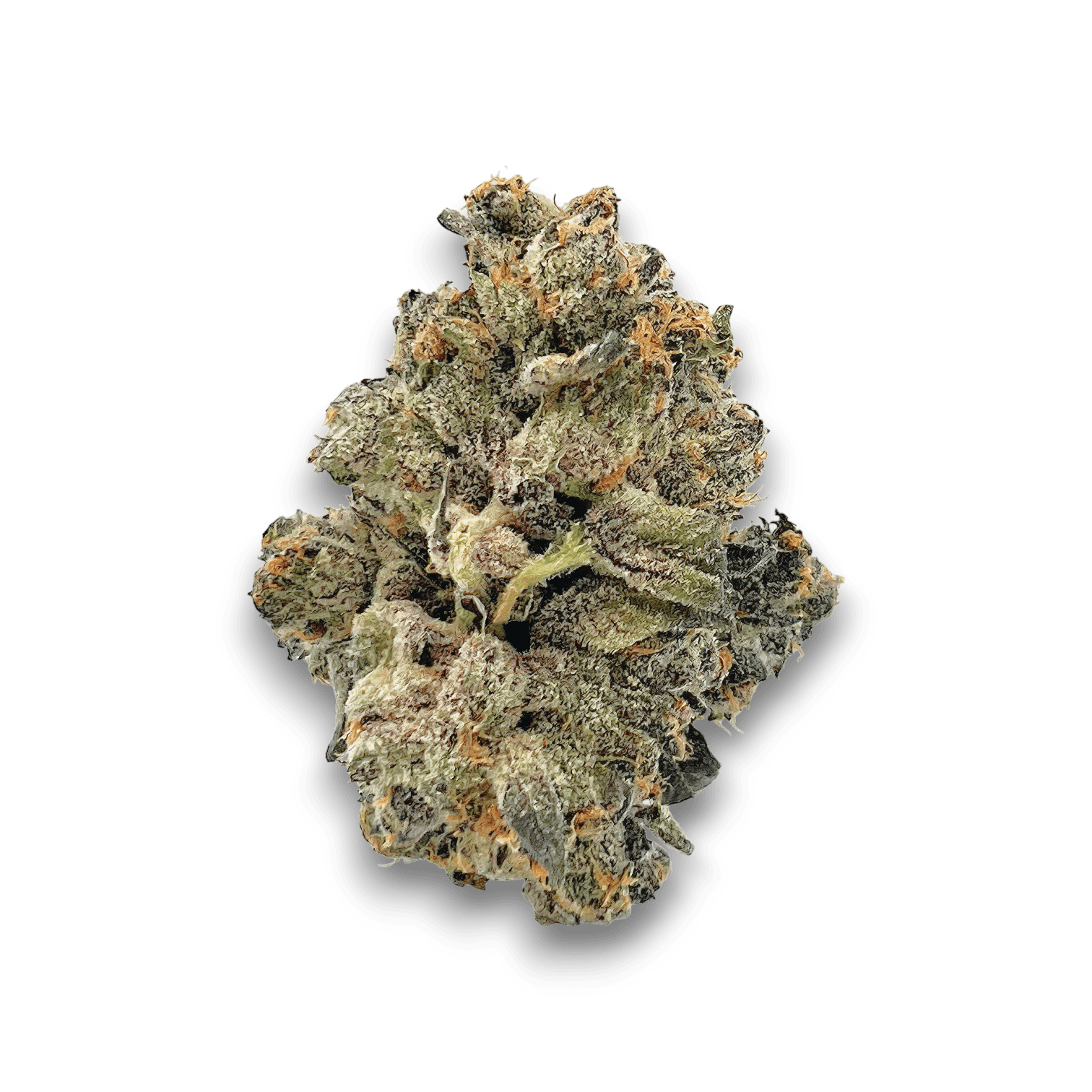 Med. Cannabis