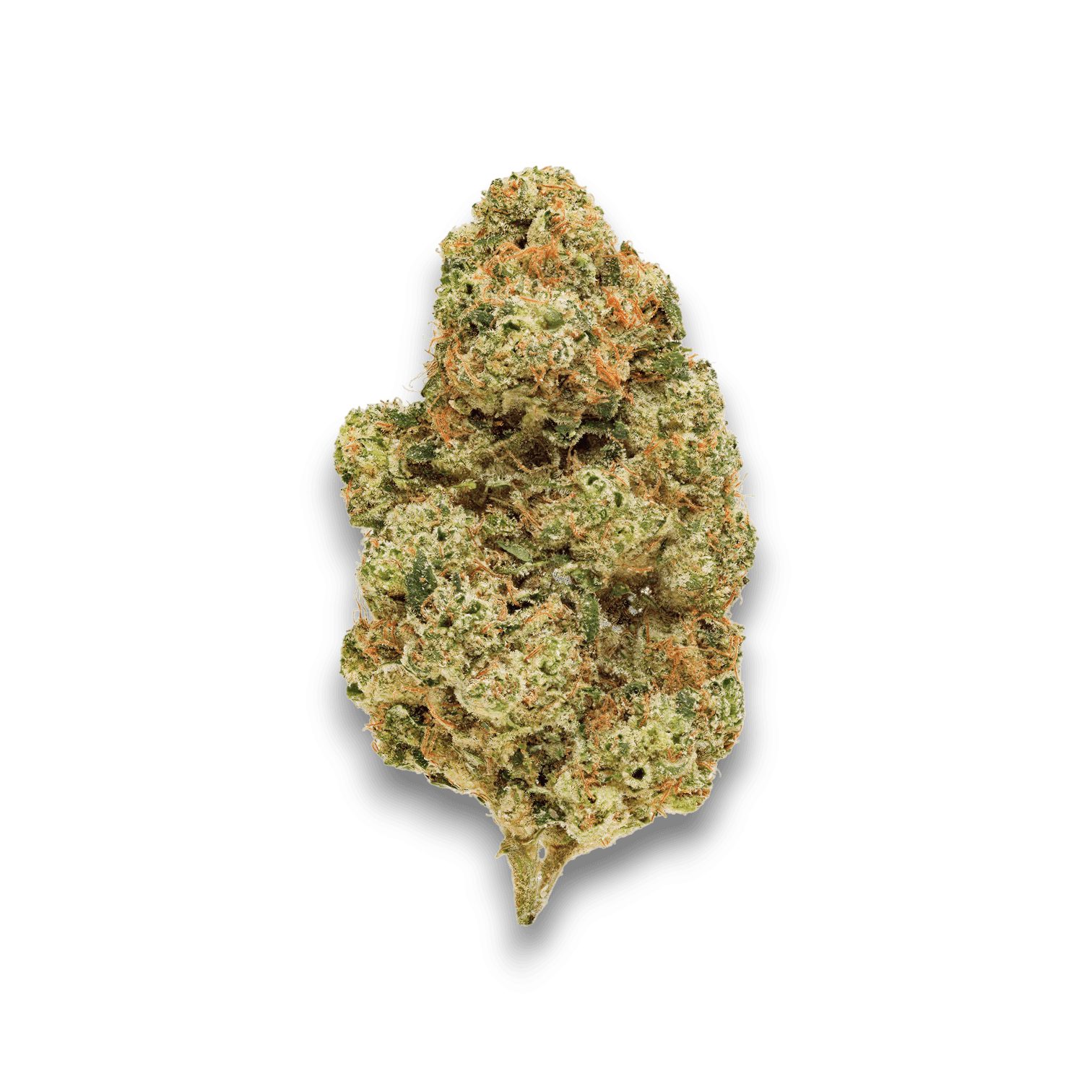 Med. Cannabis