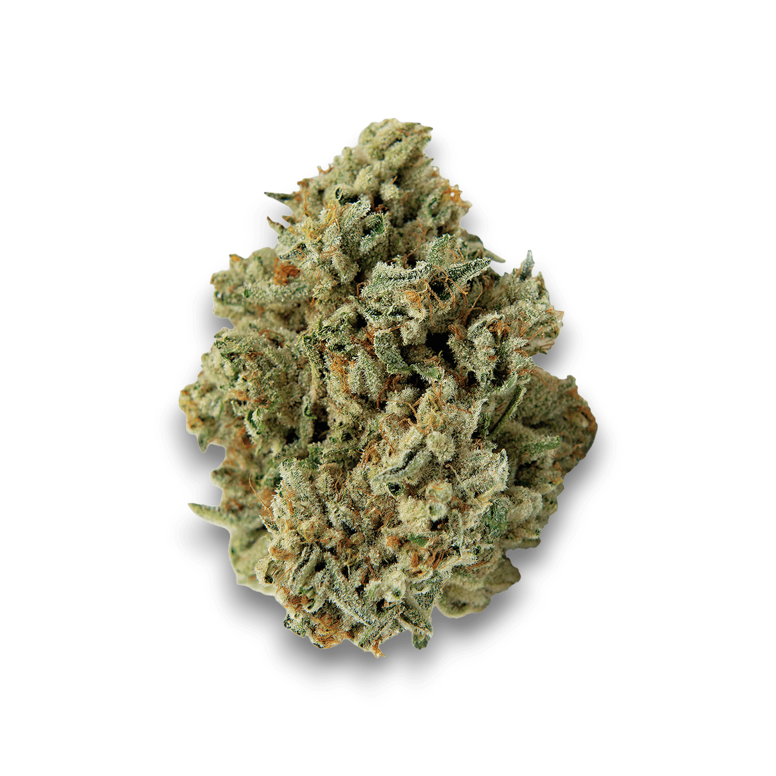 Med. Cannabis