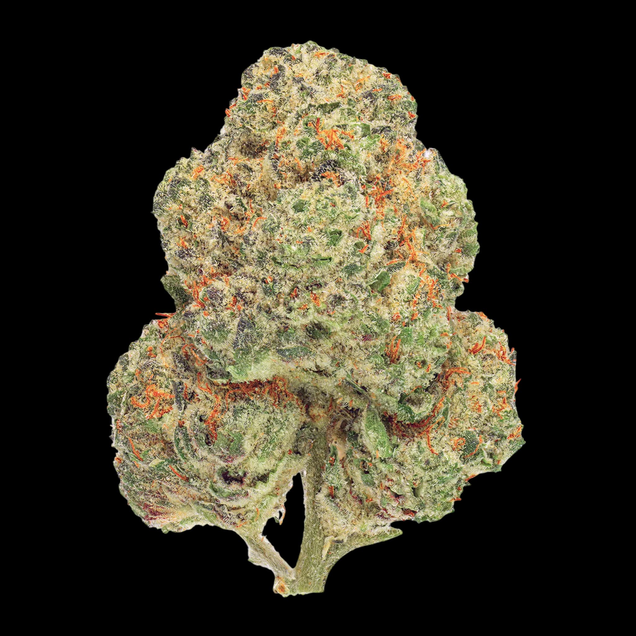 Med. Cannabis