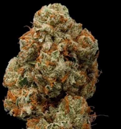 Med. Cannabis