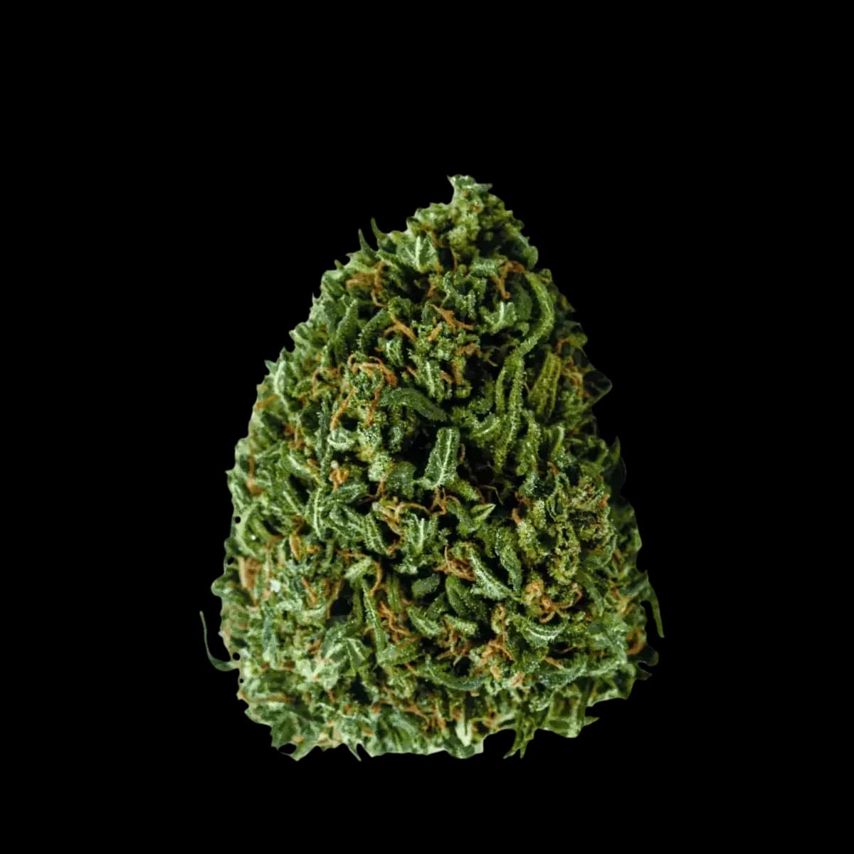 Med. Cannabis