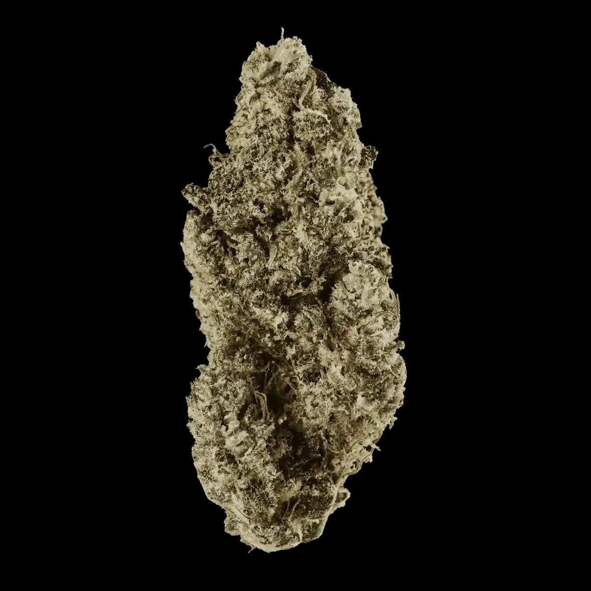 Med. Cannabis