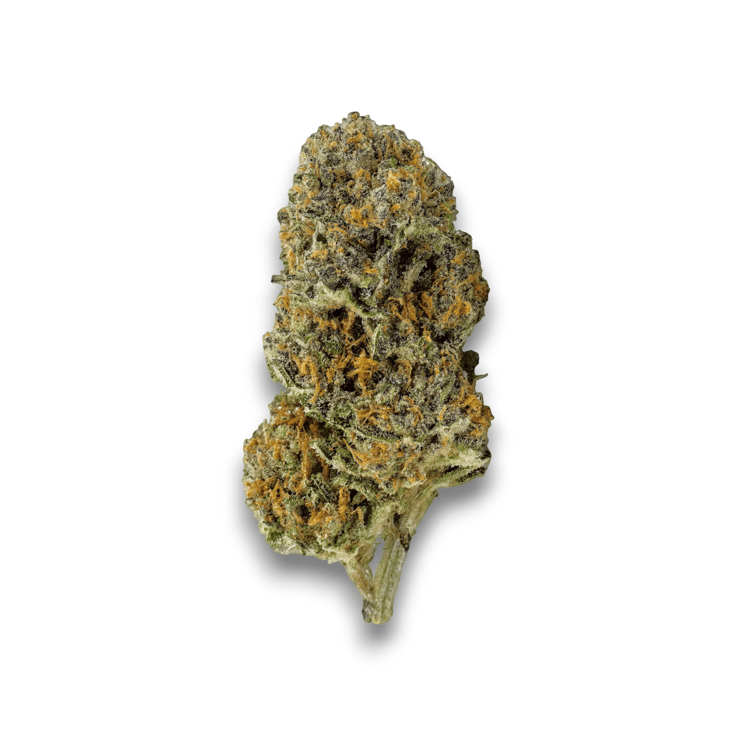 Med. Cannabis