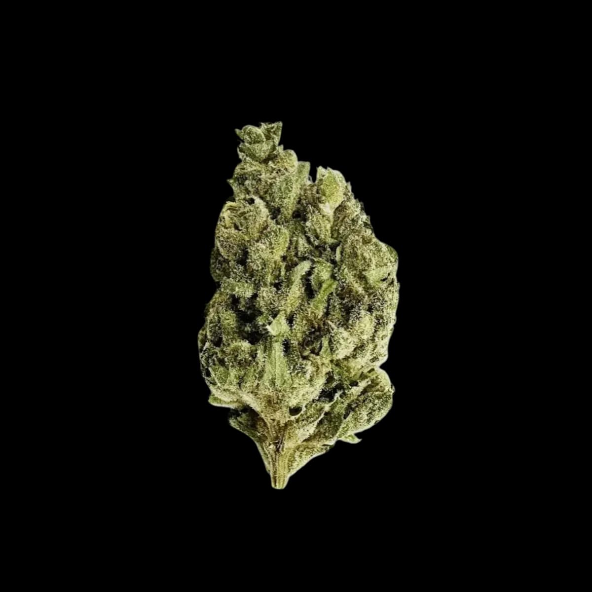 Med. Cannabis
