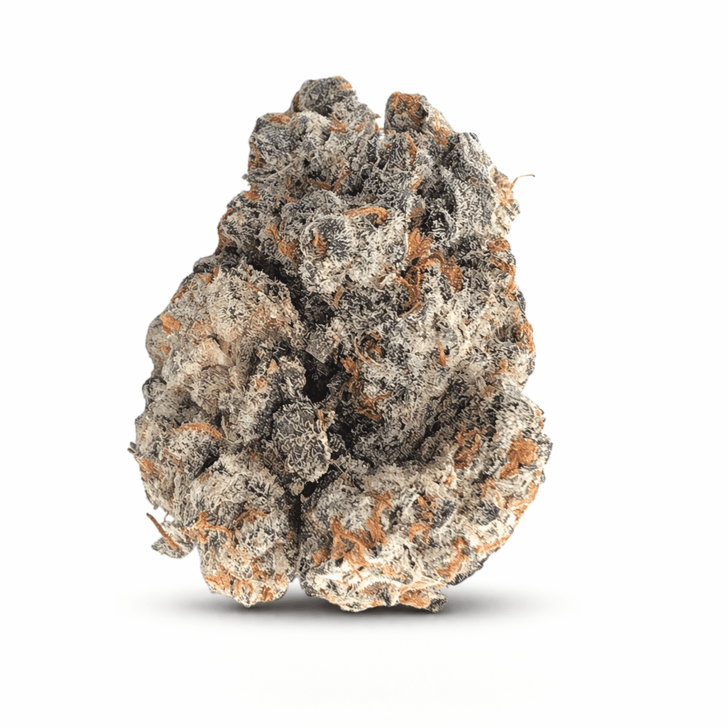 MGF Pop Up No. 1 26/1