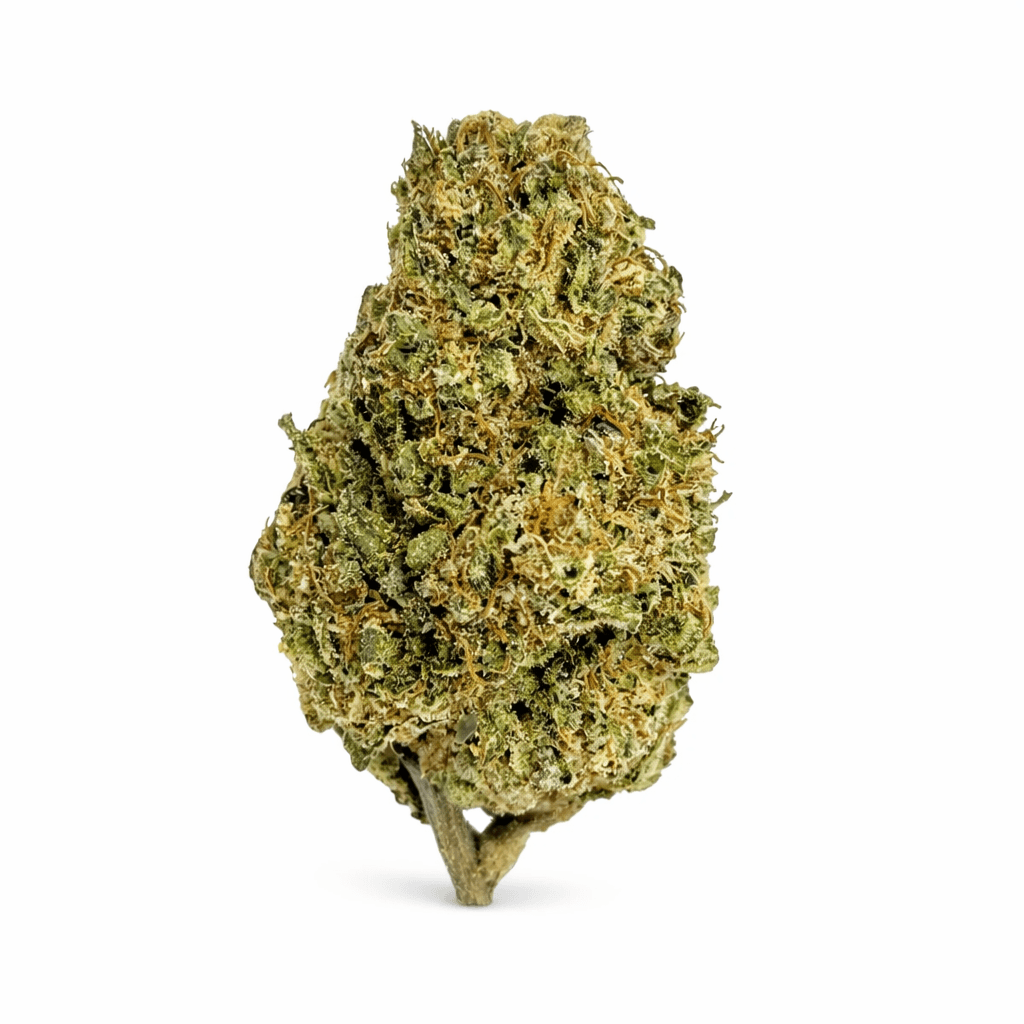 MGF Pop up No. 3 26/1 K1