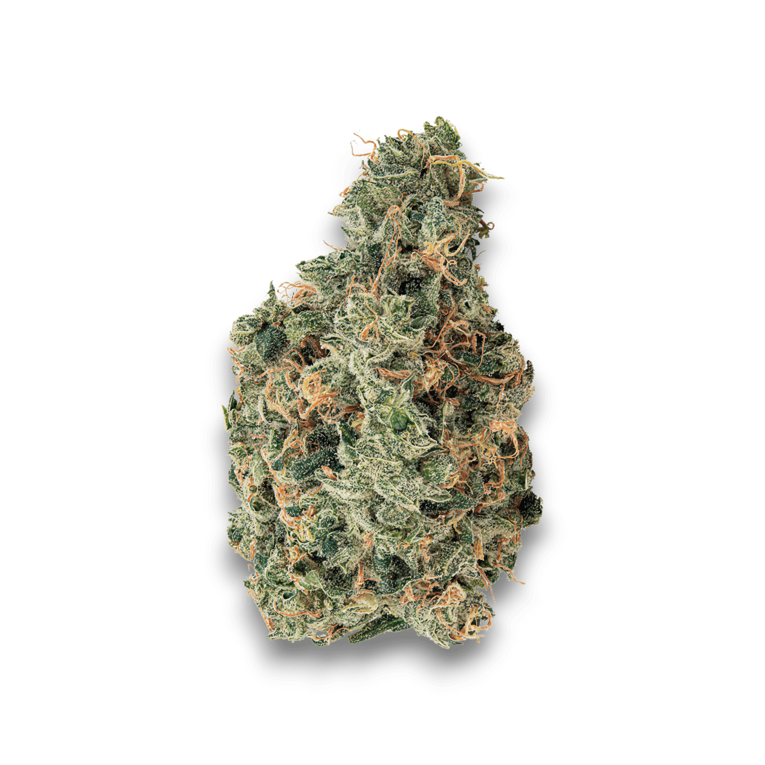 Med. Cannabis