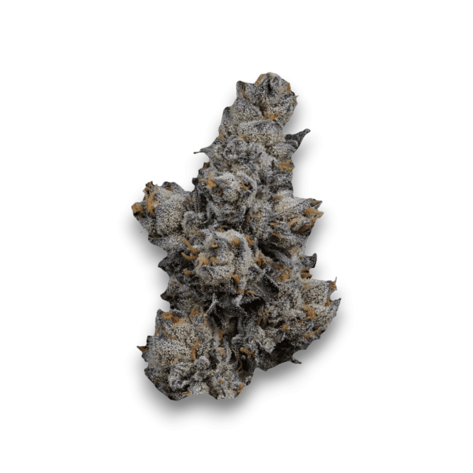 Med. Cannabis