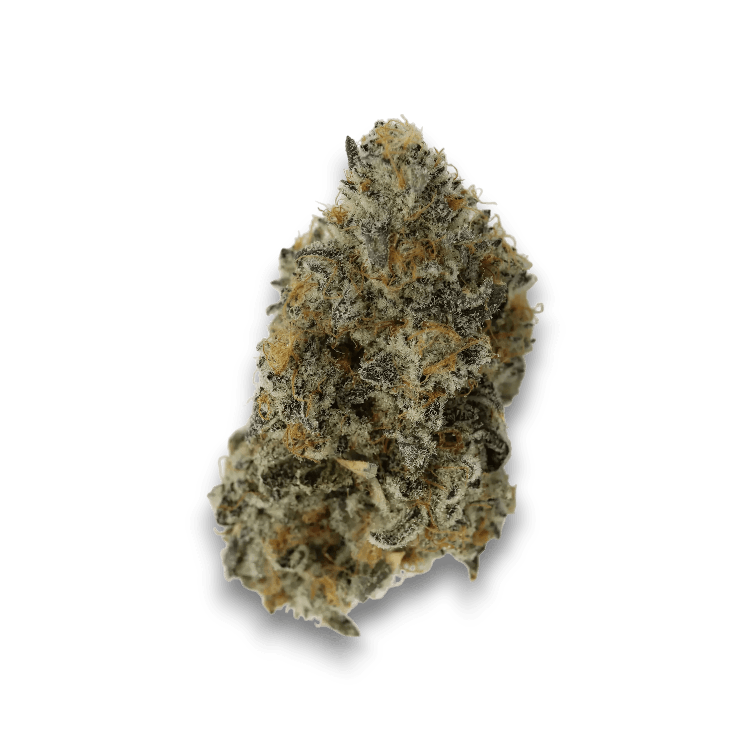 Med. Cannabis