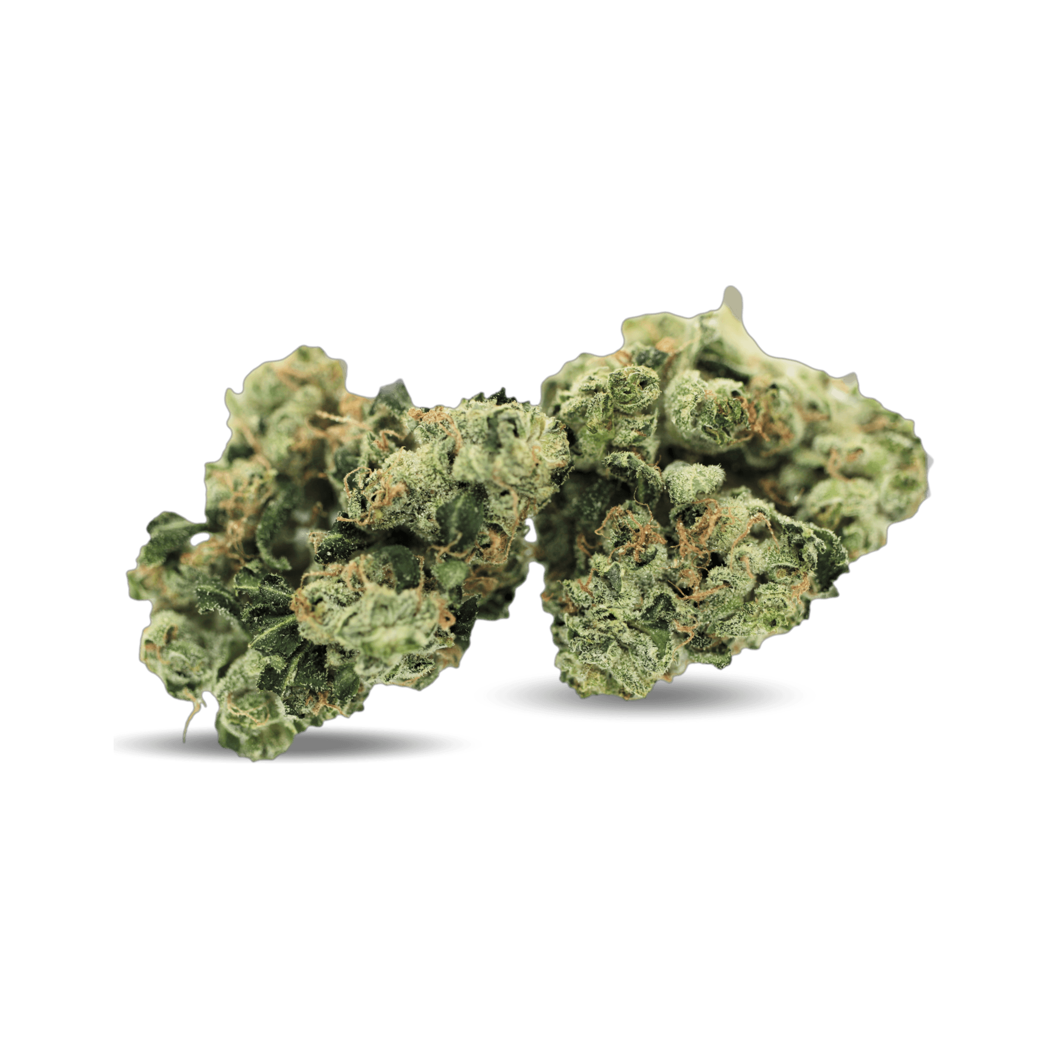 Navcora THC 18 Spotlight Porto SD