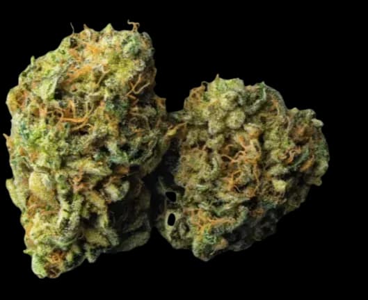 Med. Cannabis