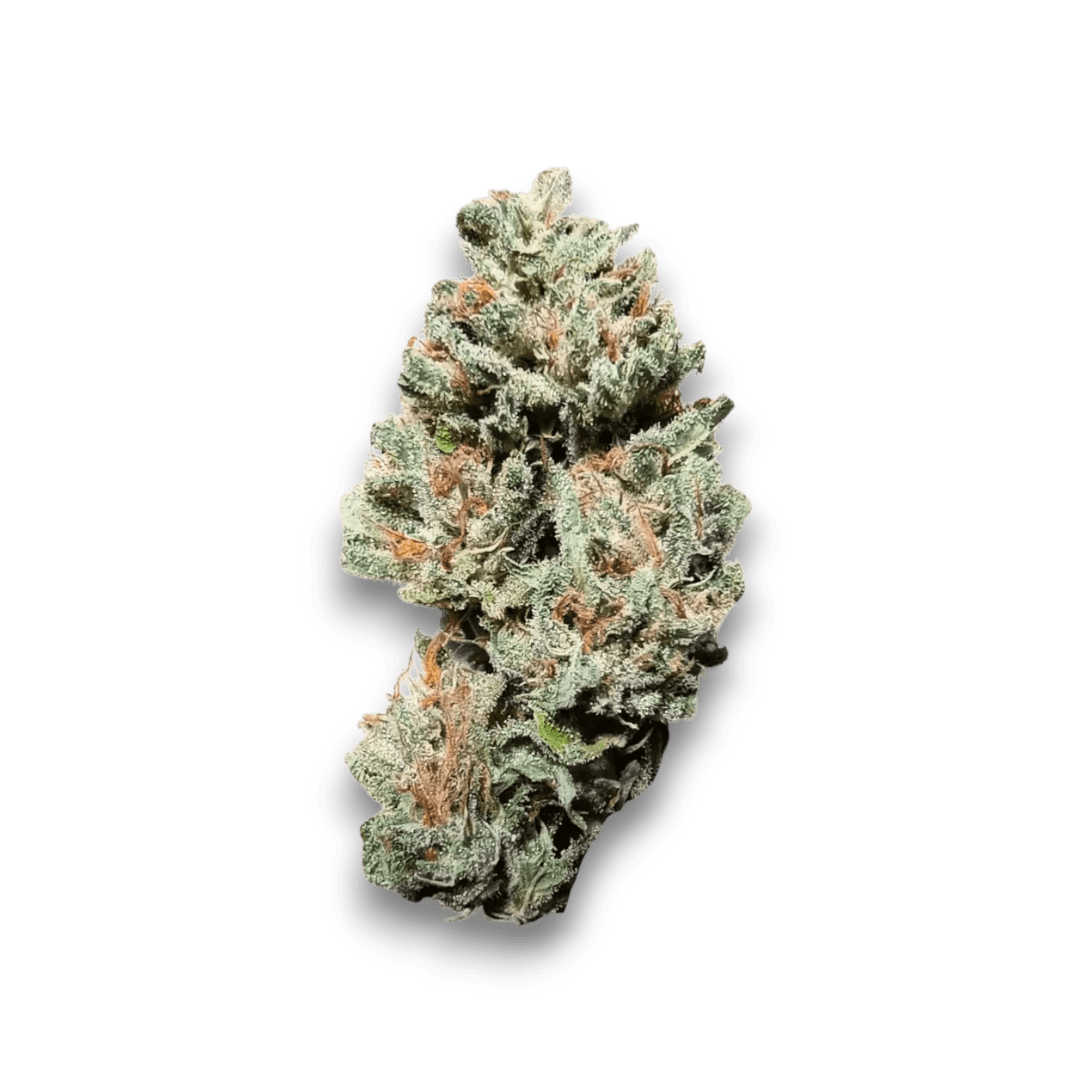 Med. Cannabis