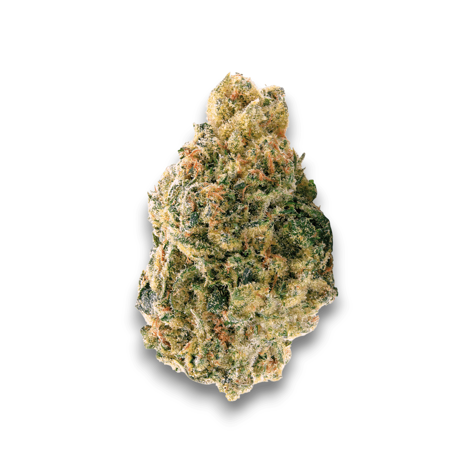 Med. Cannabis