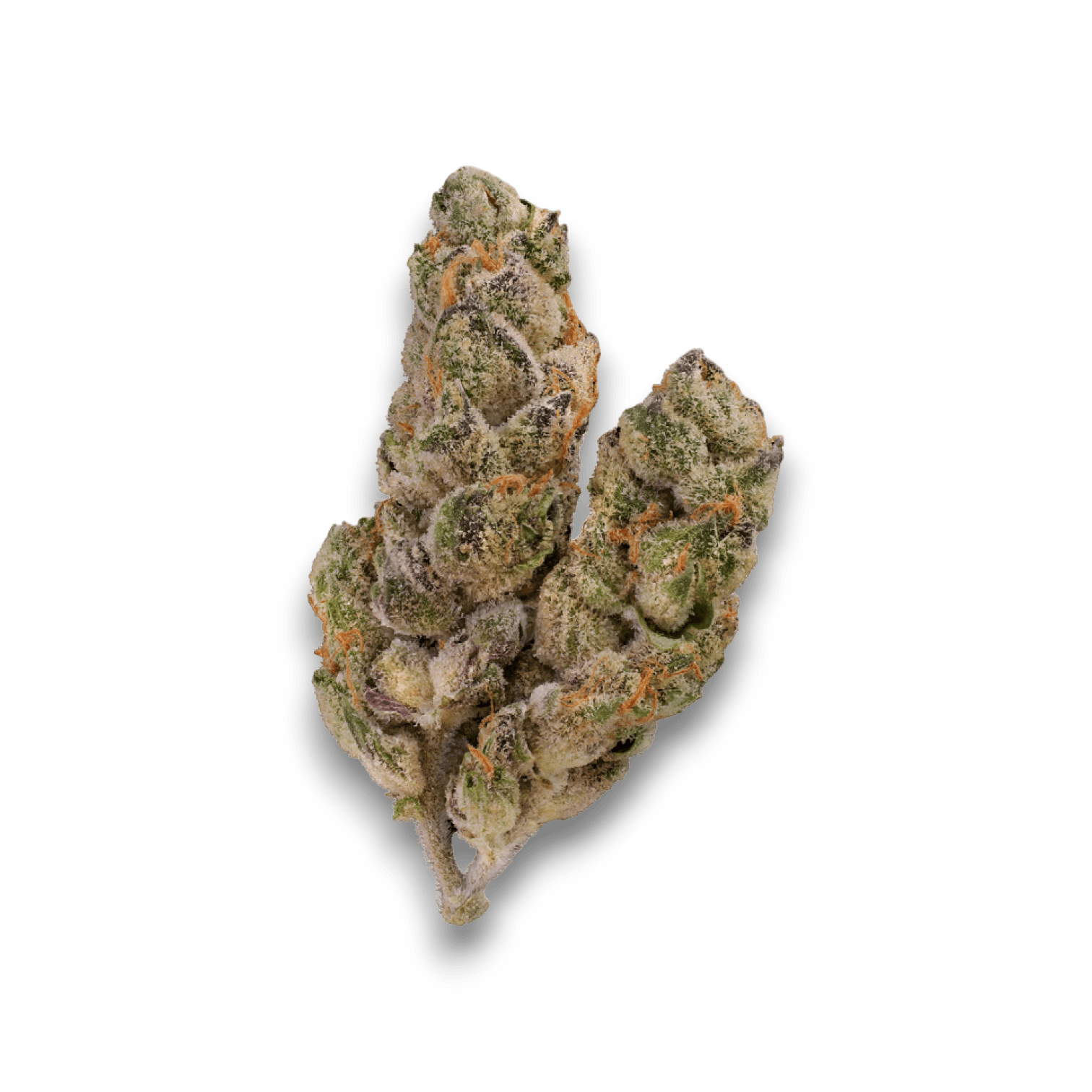 Med. Cannabis