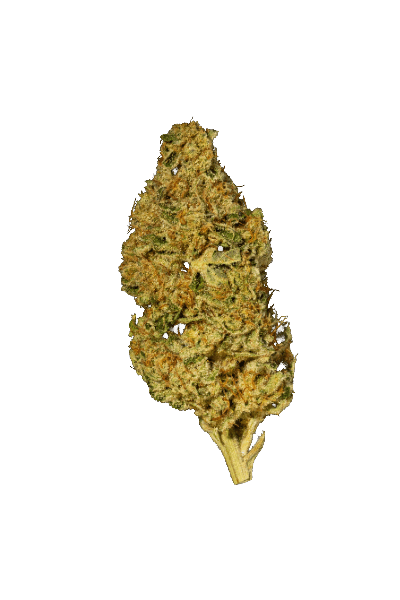 Med. Cannabis