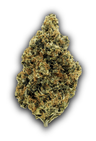 Med. Cannabis