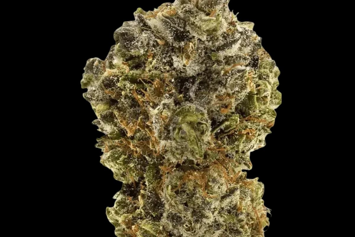 Med. Cannabis