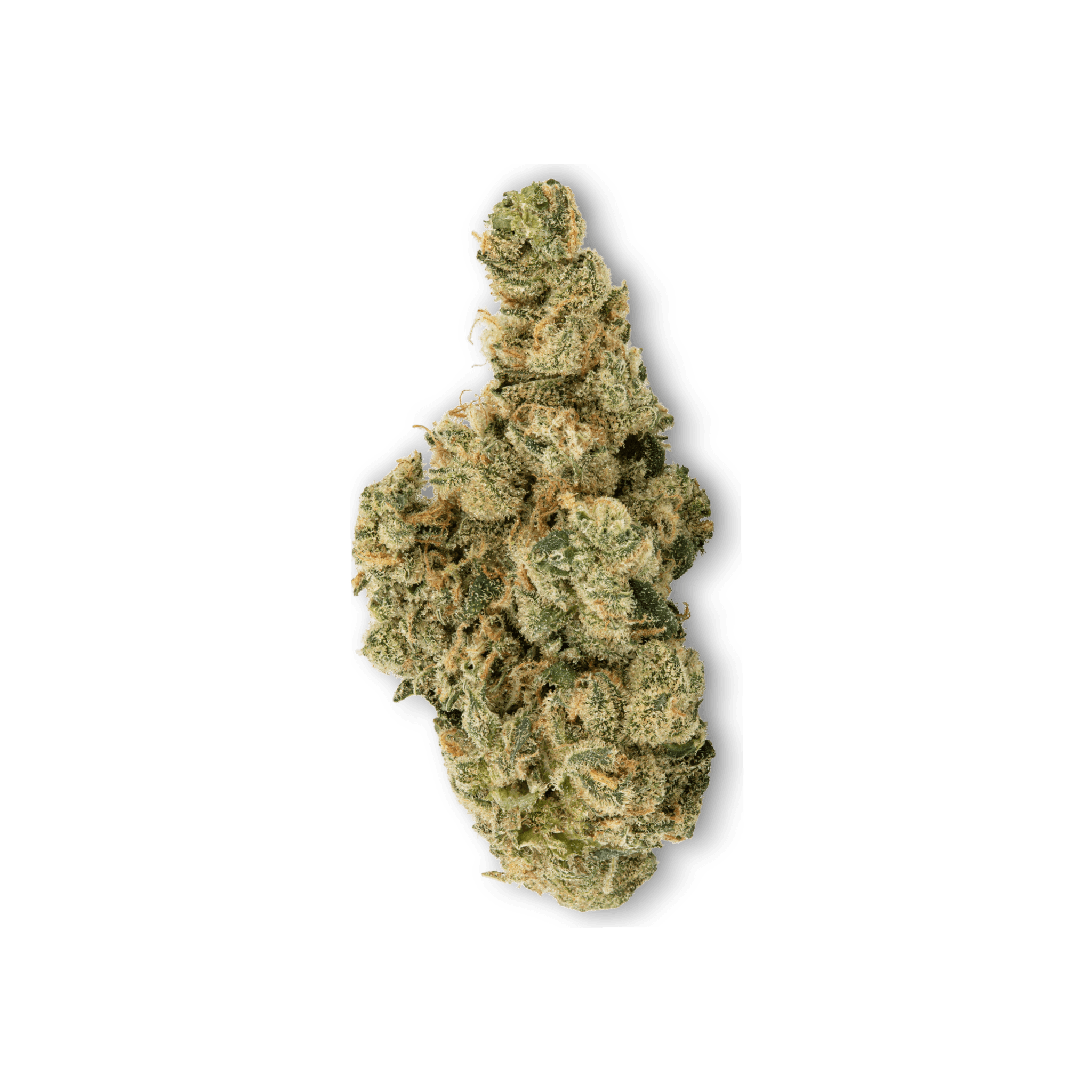 Med. Cannabis
