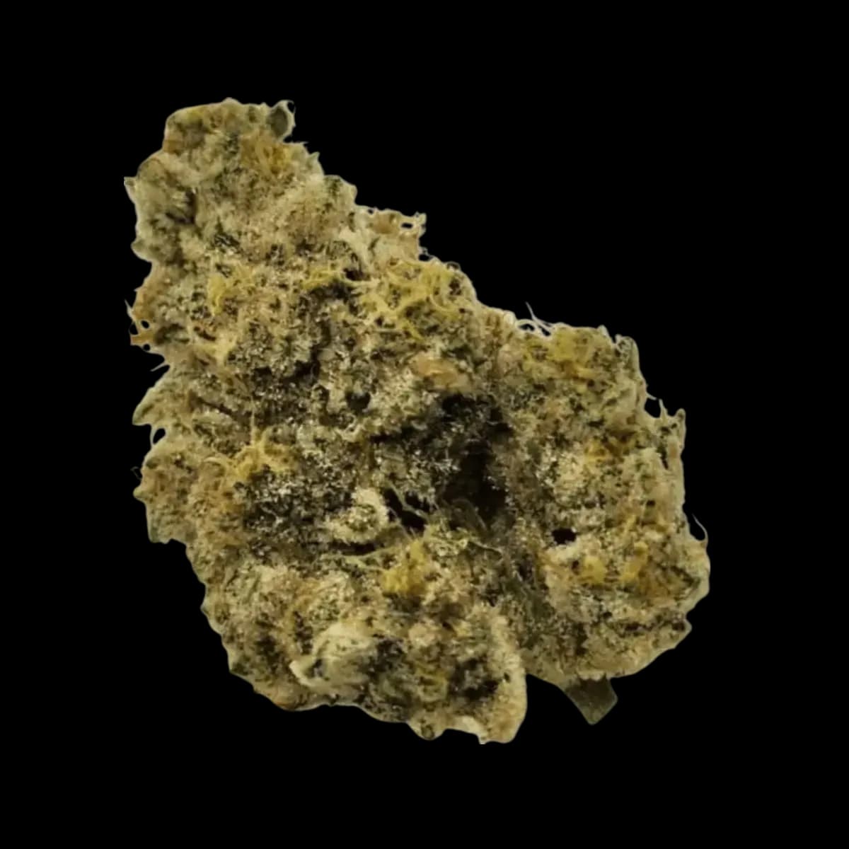Med. Cannabis