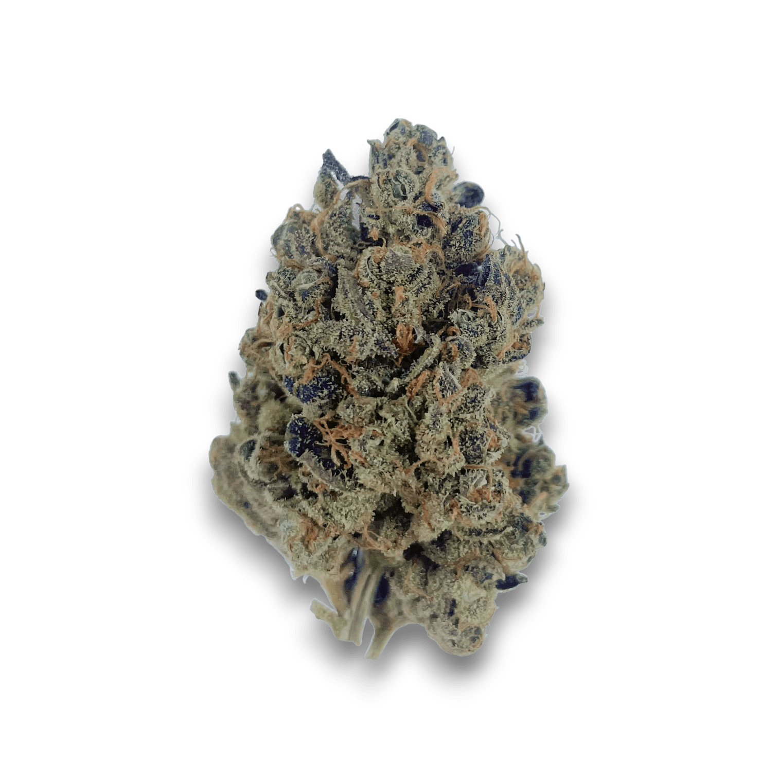 Med. Cannabis