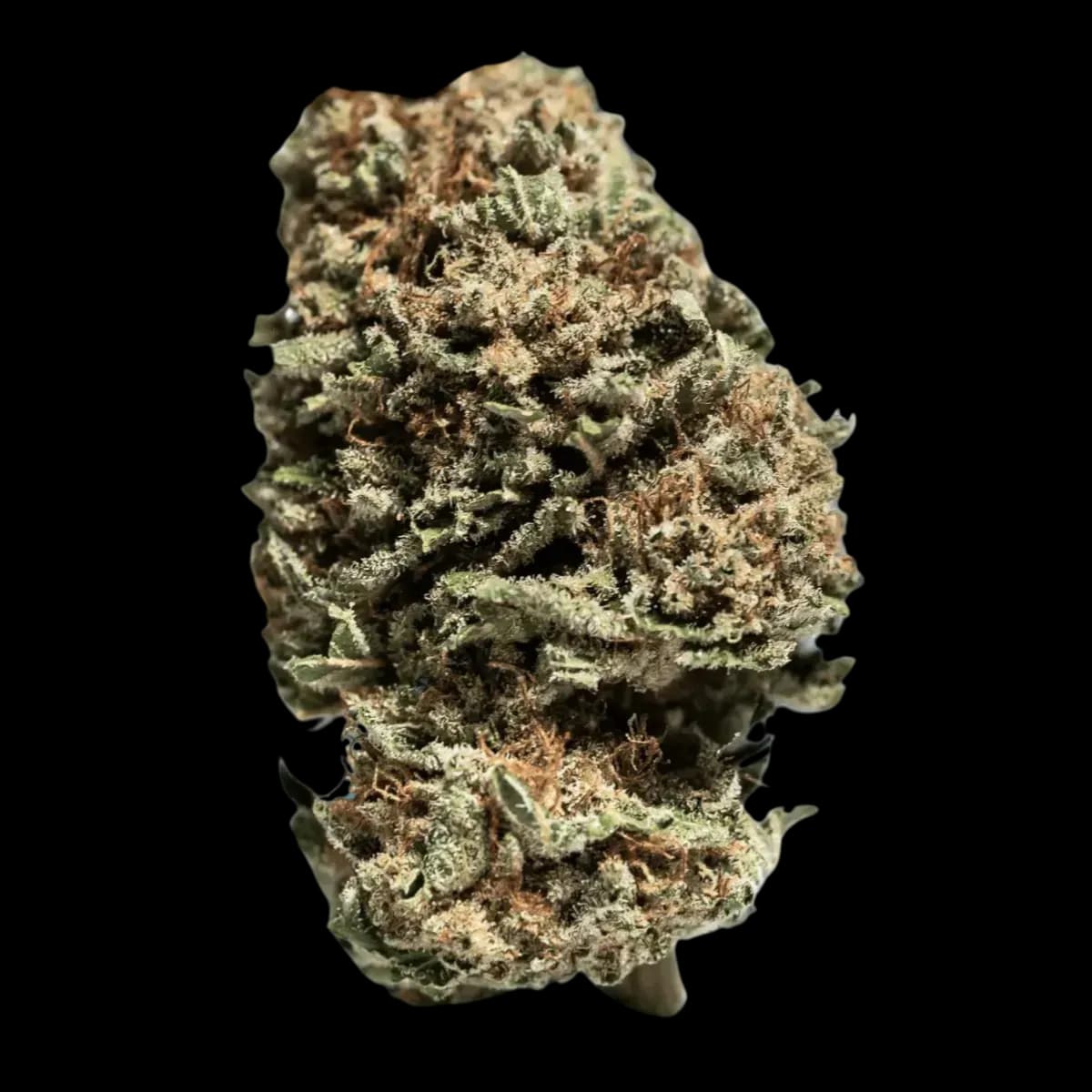 Med. Cannabis