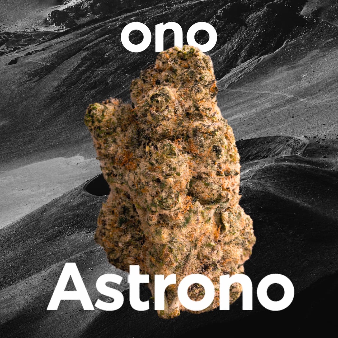 ONO Astrono 25/1
