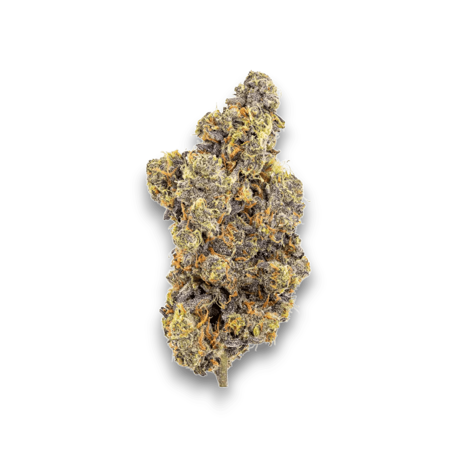 Med. Cannabis