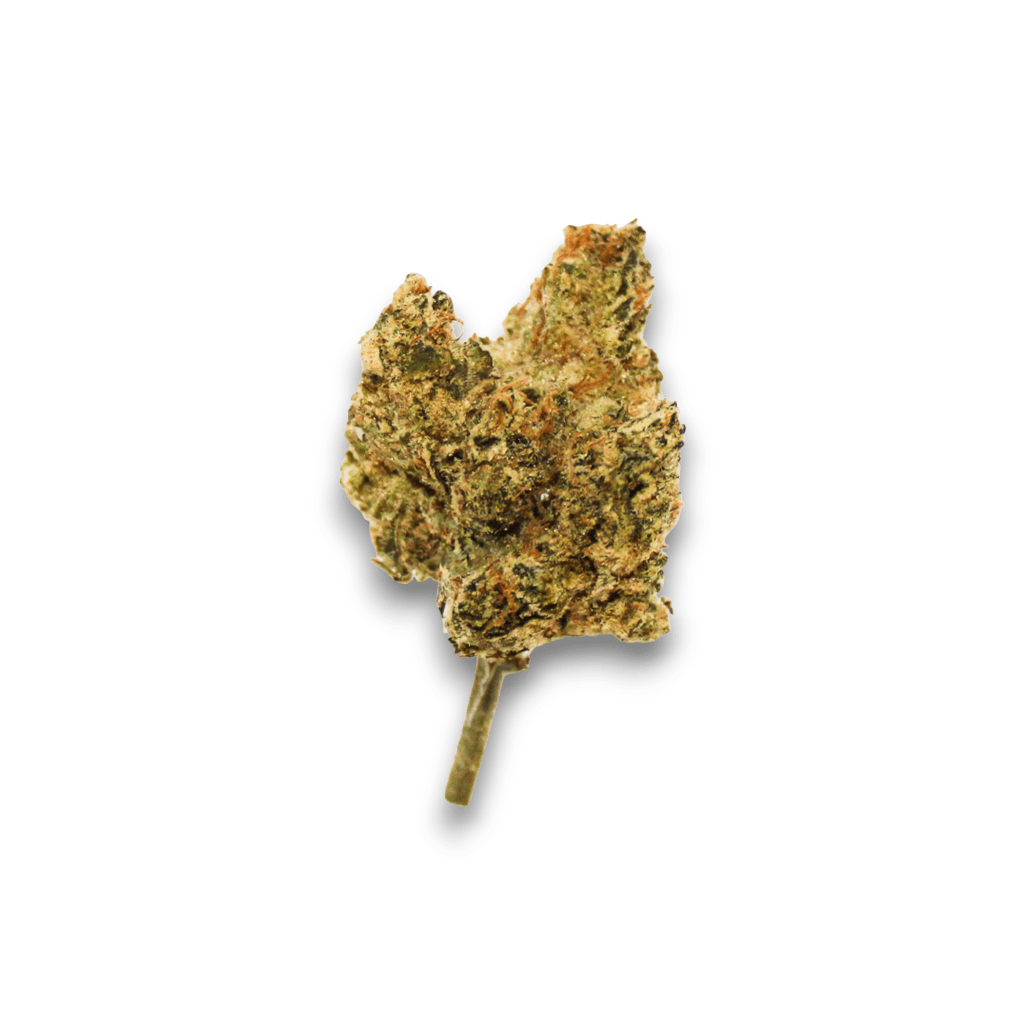 Med. Cannabis
